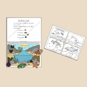Pack SOUS L’OCÉAN – livret ludique + livret de coloriage