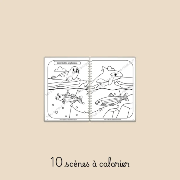 SOUS L'OCÉAN – Image 2