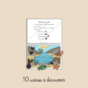 SOUS L’OCÉAN dès 2 ans