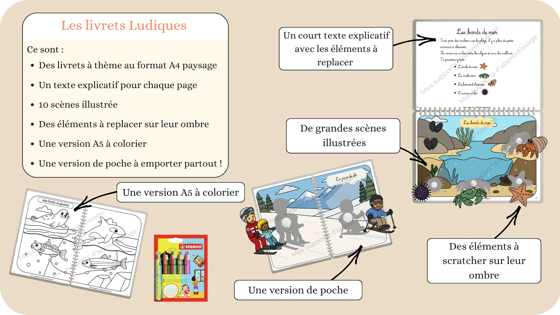 image d'accueil 3 2025