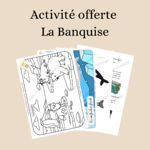 Activité offerte : La Banquise
