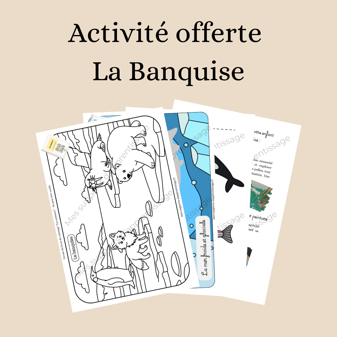 Activité offerte : La Banquise