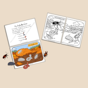 Pack DANS LE JARDIN – livret ludique + livret de coloriage